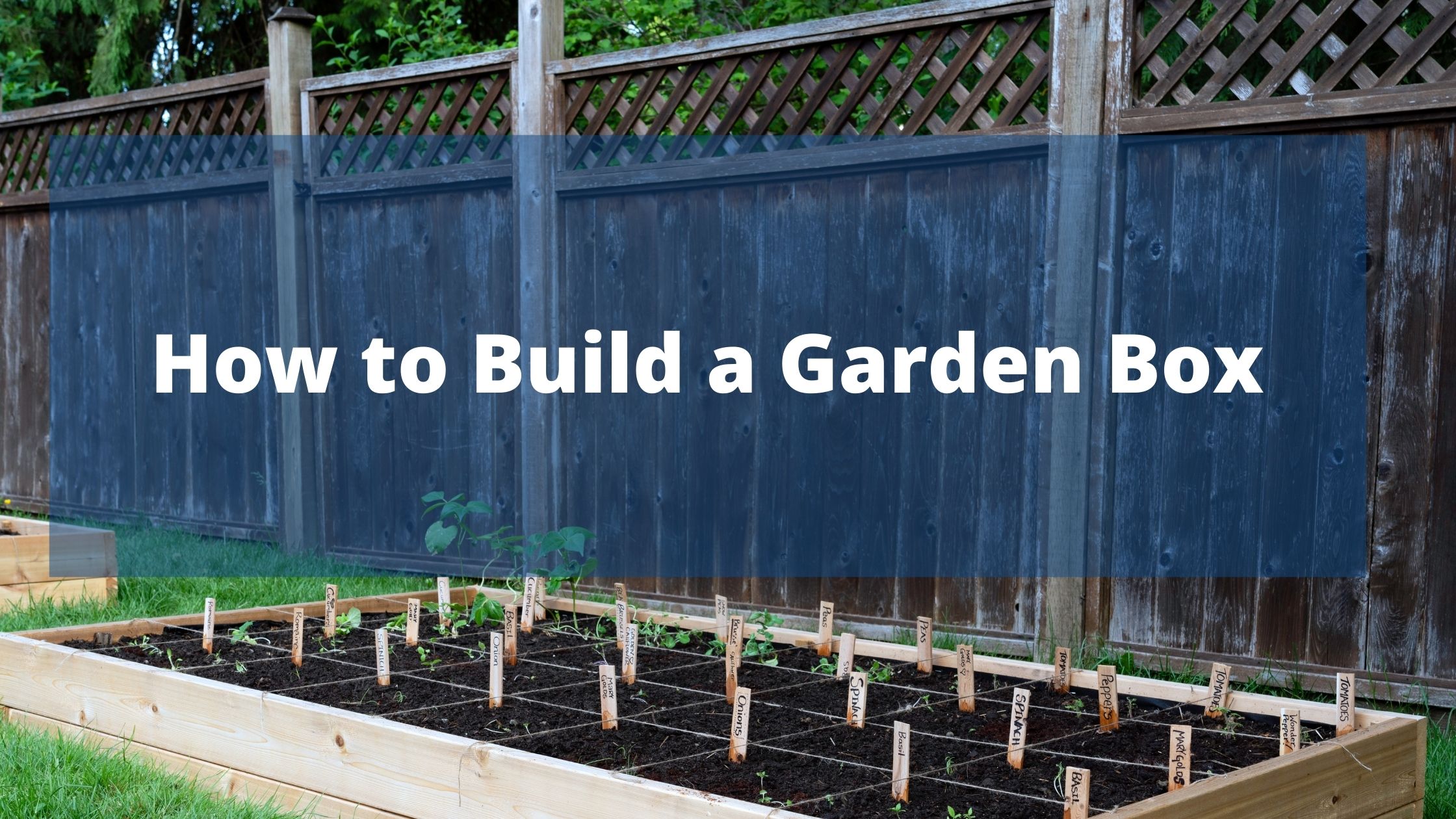 garden box
